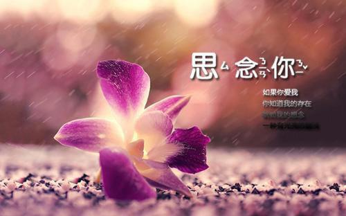 简短个人辞职报告