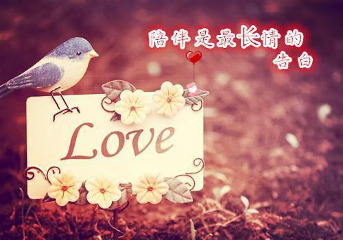 关于林清玄的哲理散文欣赏