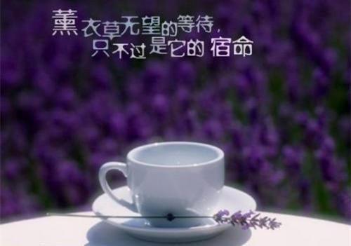 餐饮专卖店店员的辞职报告