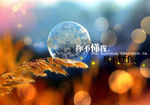 【精品】护士辞职报告汇编六篇