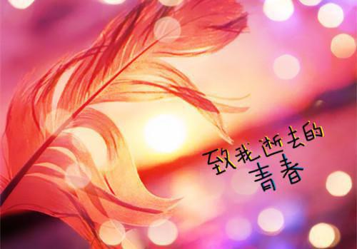 经年经时经别逢（姜璃笙傅时越）小说免费阅读无弹窗完整版_（姜璃笙傅时越）经年经时经别逢最新章节列表笔趣阁
