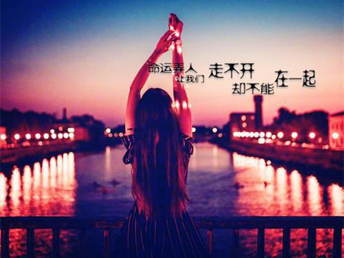 梦断刀头，书开虿尾，别有相思随定。