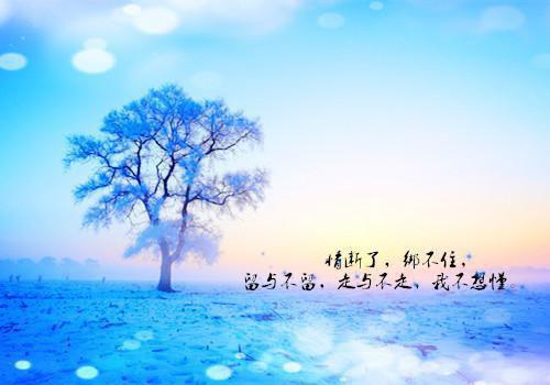 感人肺腑的爱情故事