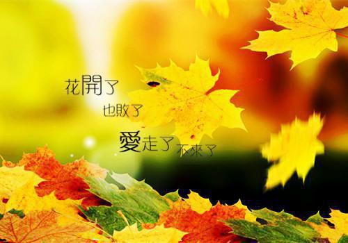写爱情伤感的散文诗歌