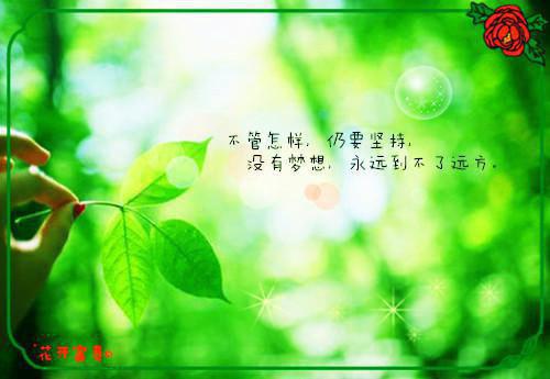 辞职报告样本