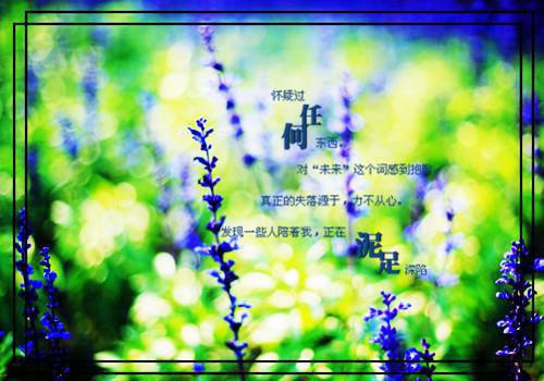 感悟人生的经典句子：对于人生的十大忠告