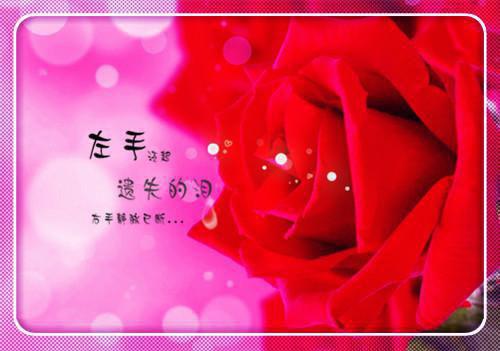 与黑夜共枕：大结局+后续小说许诗瑶霍景深是与黑夜共枕：大结局+后续全文免费许诗瑶霍景深无弹窗大结局完整版在线阅读