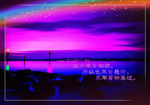 电信营业班新员个人工作总结