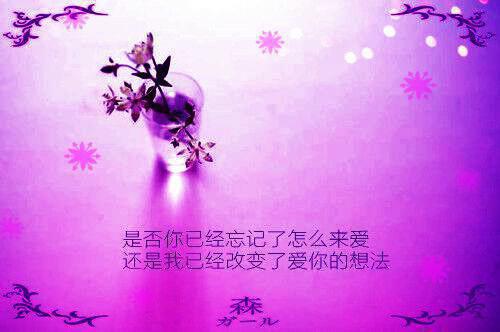 经典的哲理散文精选推荐