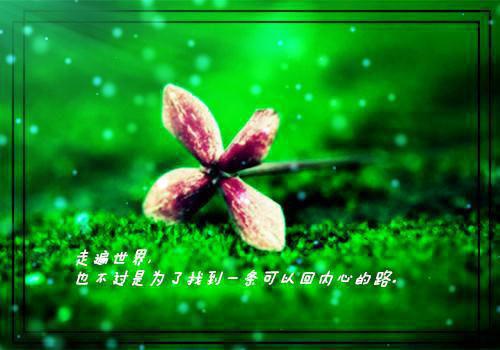 关于春天的现代散文