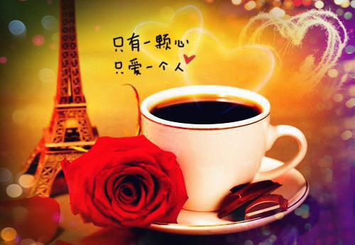 不胜月光（杨璟之虞茗）全文免费阅读无弹窗大结局_（不胜月光）不胜月光小说免费最新章节列表_笔趣阁（杨璟之虞茗）