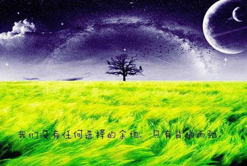 与黄昏相约