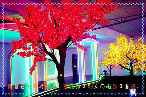 湛蓝续情小说（温今瑶孟朝焱）全文免费阅读无弹窗大结局_湛蓝续情小说全文免费阅读_笔趣阁（温今瑶孟朝焱）