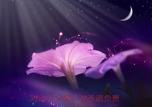 纺织厂人员辞职报告