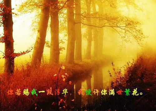 朝暮不再相遇小说（傅云廷林兮悦）TXT无套路在线+无广告结局
