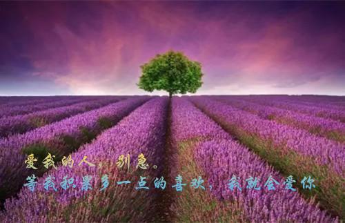 培养指导青年教师的工作总结（精选4篇）
