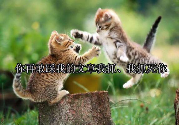 关于员工辞职报告模板合集九篇