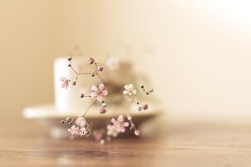 早安问候语录