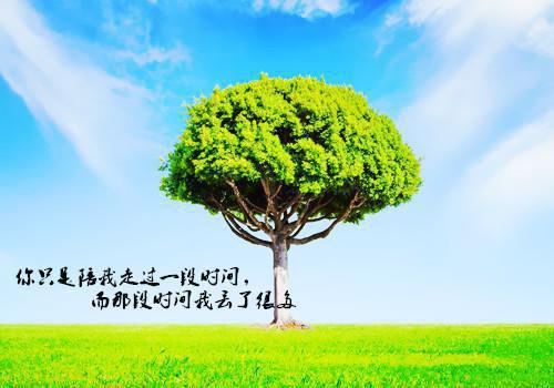 优美励志正能量的语录