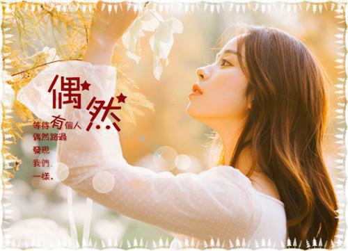 智慧背囊好词好句