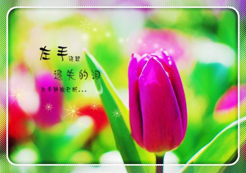 9月份纪检工作总结