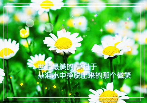 青春励志的格言大全