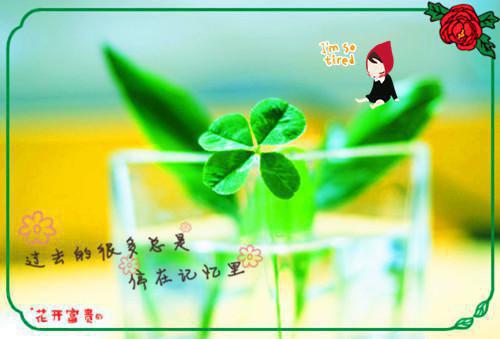 最难忘的2023新年问候语
