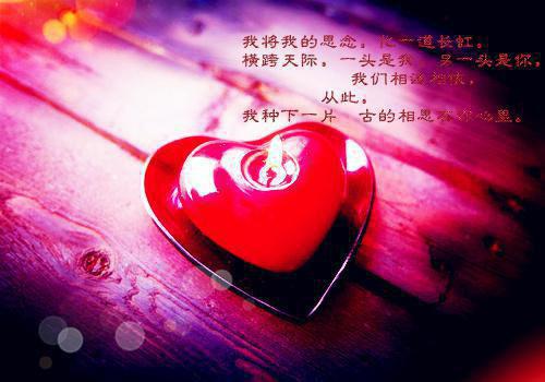陆承泽姜安浅(陆承泽姜安浅)全文免费阅读无弹窗大结局_(陆承泽姜安浅免费阅读全文大结局)最新章节列表_笔趣阁（陆承泽姜安浅小说）