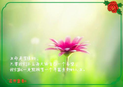 关于试用期辞职信