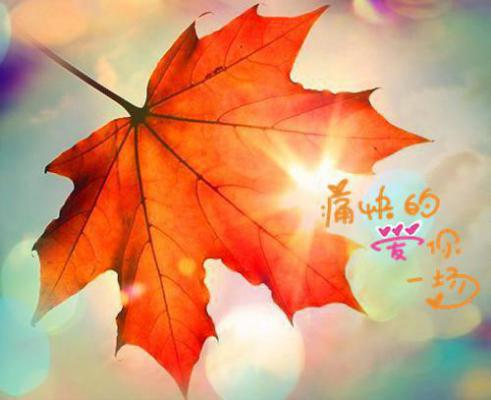 行政人员个人述职报告