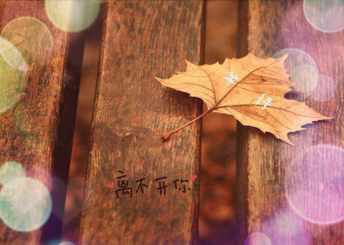 公司员工的简单辞职报告