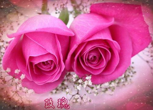 甜蜜心语正能量