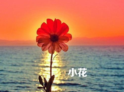 白求恩成功的秘诀