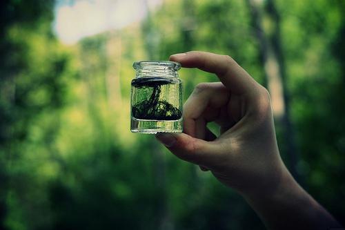 最新送给老婆的生日祝福语