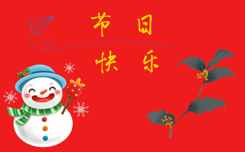 关于圣诞节的活动总结