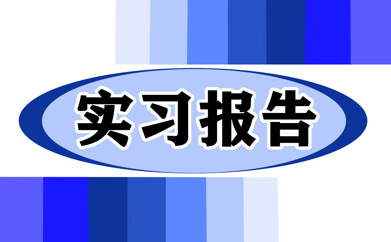 新个人实习总结体会10篇